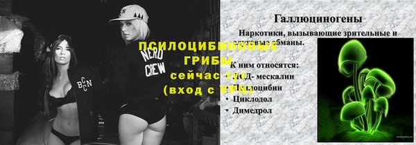 прущие грибы Горняк
