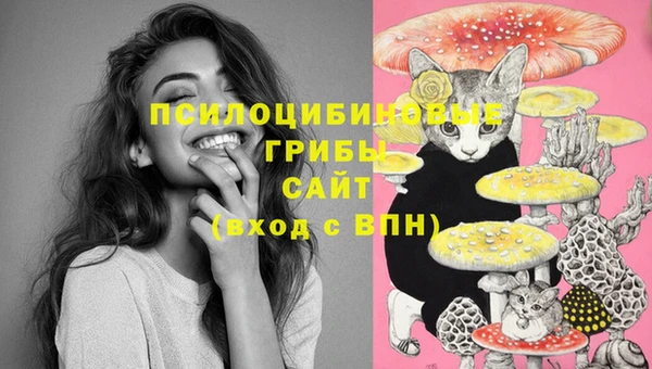 прущие грибы Горняк