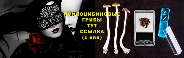 каннабис Горно-Алтайск