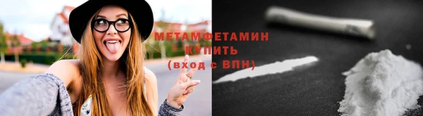 прущие грибы Горняк