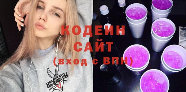 амф Вяземский