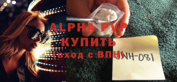 прущие грибы Горняк