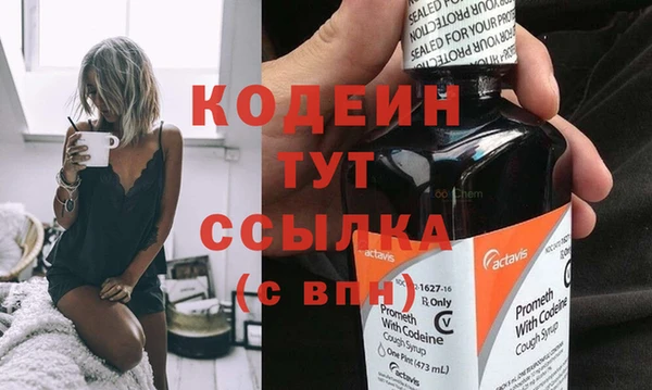 амф Вяземский