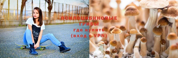 крисы Ступино