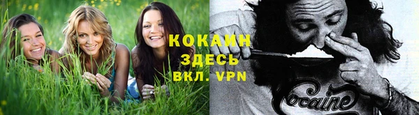 амф Вяземский