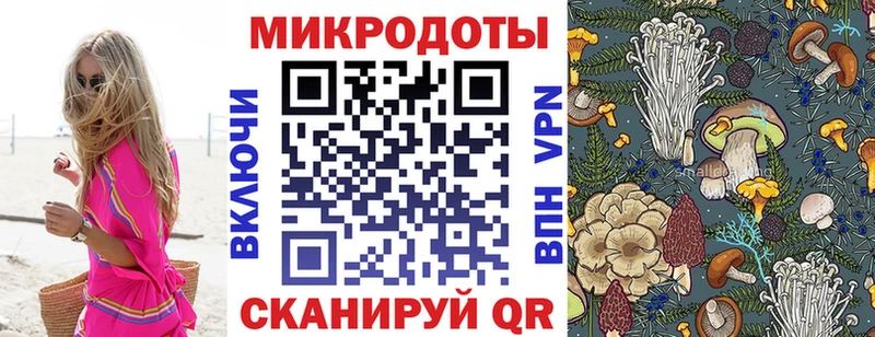 закладка  Чкаловск  Галлюциногенные грибы Psilocybine cubensis 