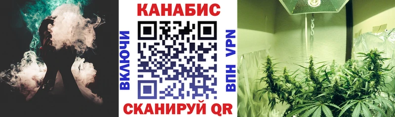дарк нет Telegram  Чкаловск  Бошки Шишки AK-47 